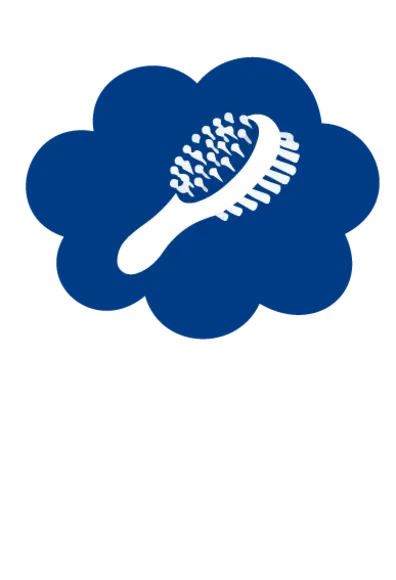 Blue grooming brush icon
